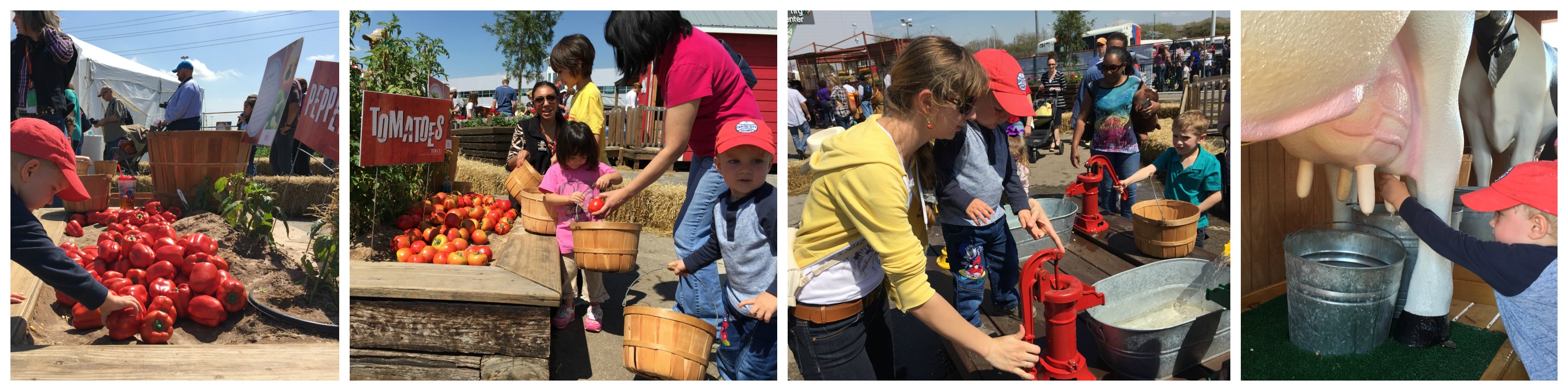 Fun on the farm